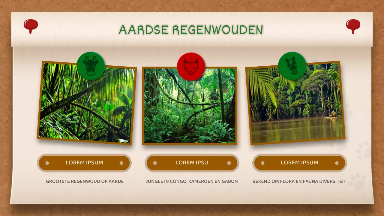 Bruin en Groen Memobord Concept Jungle Verhaal