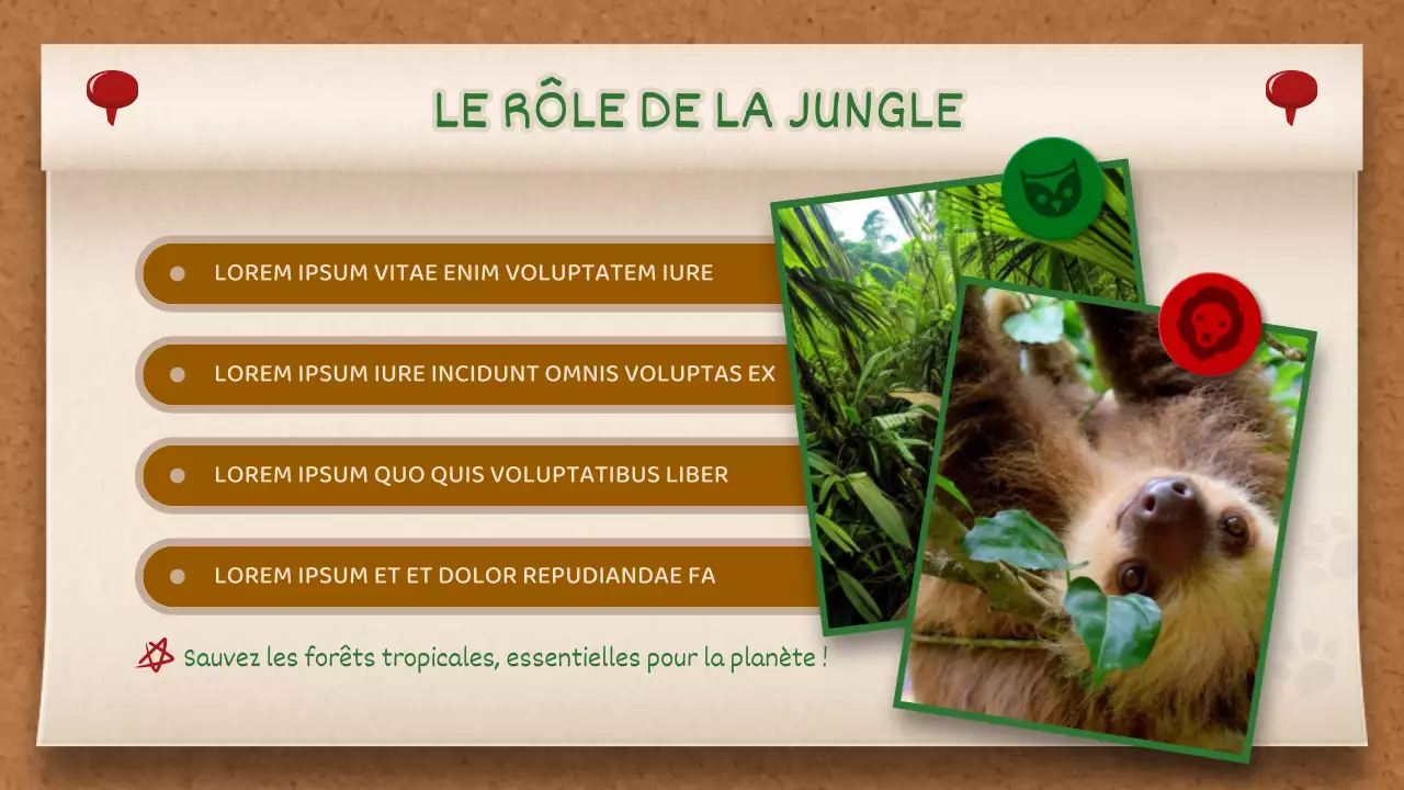 Tableau mémo marron et vert Concept Jungle Story