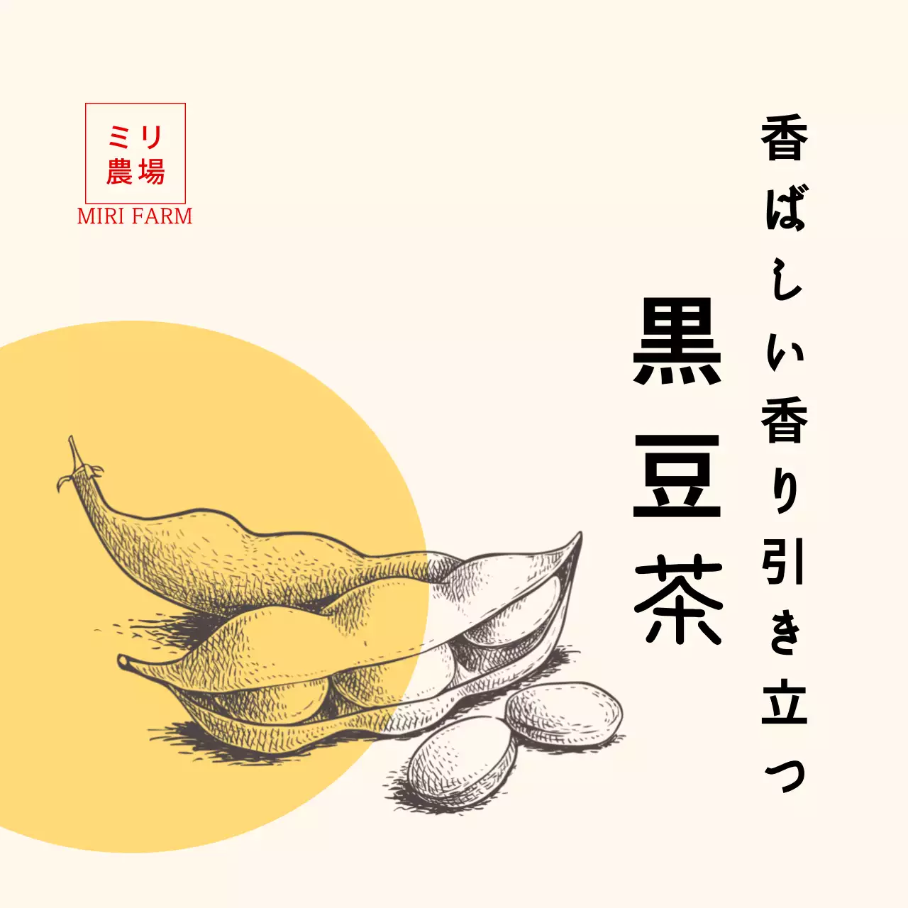 黄色のドローイング黒豆茶ステッカー