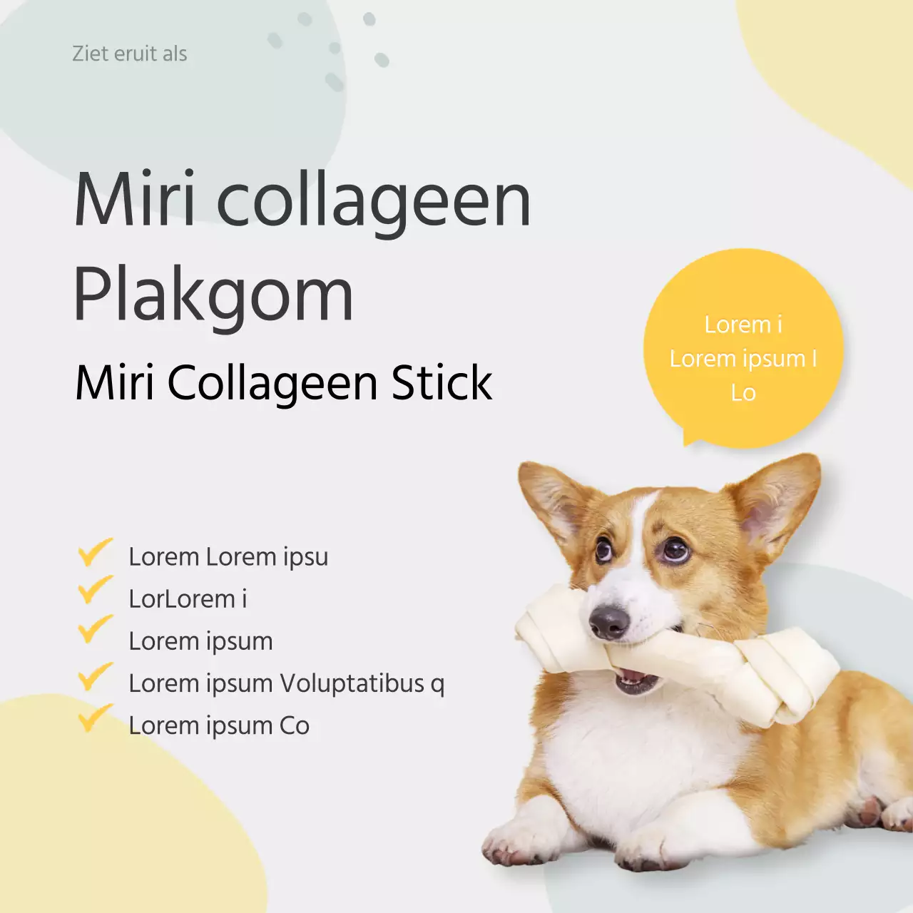 Pastelkleurige waarschuwingen voor honden