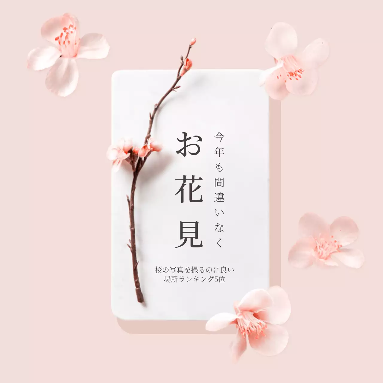 ピンク シンプル 花 お知らせ Instagram投稿