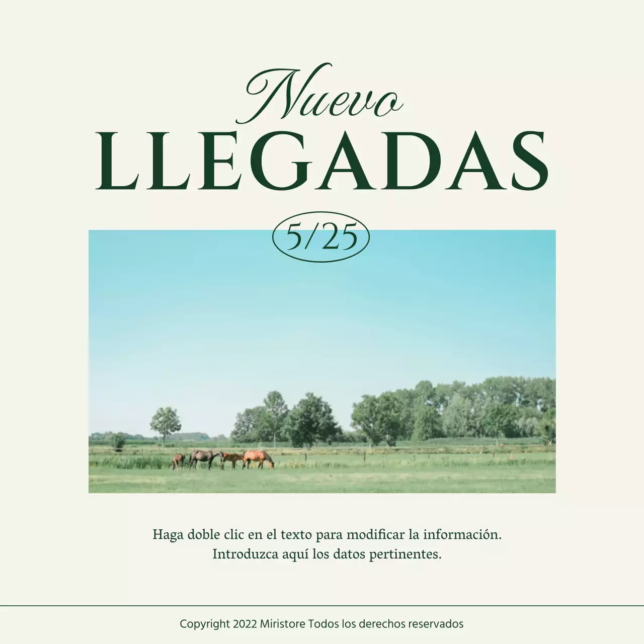 Paquete de diseño fotográfico Green's Picnic Concept