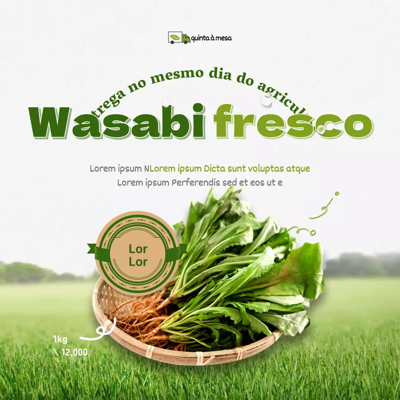 Vegetais verdes e frescosVegetaisTema