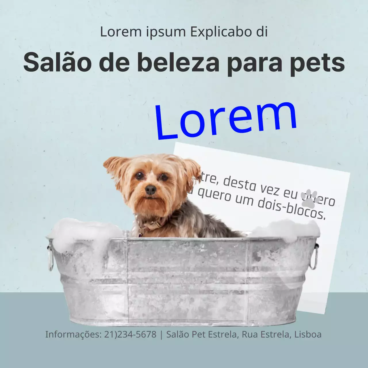 Salão de beleza para animais de estimação