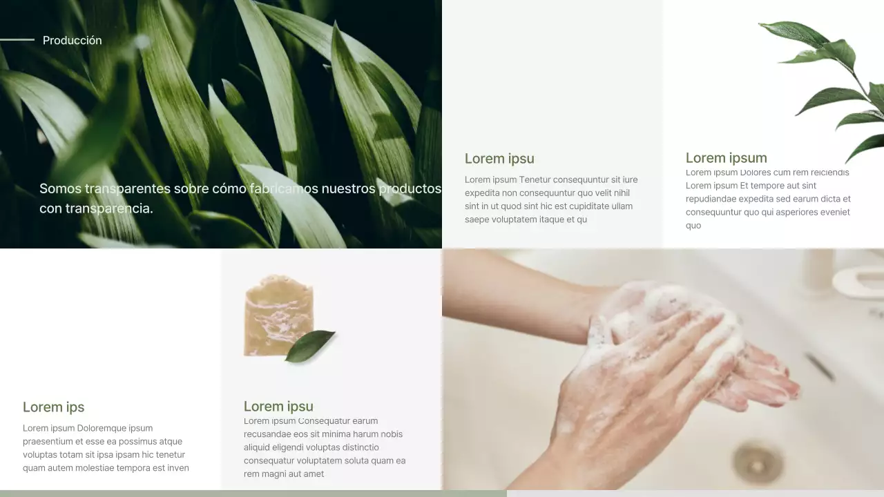 Propuesta de entrada para un jabón de concepto naturalista verde y beige