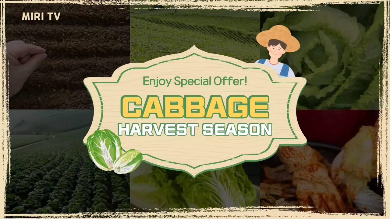 Promoção de repolho verde rústico no YouTube Thumbnail