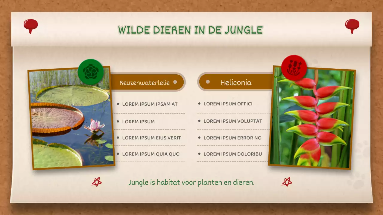 Bruin en Groen Memobord Concept Jungle Verhaal