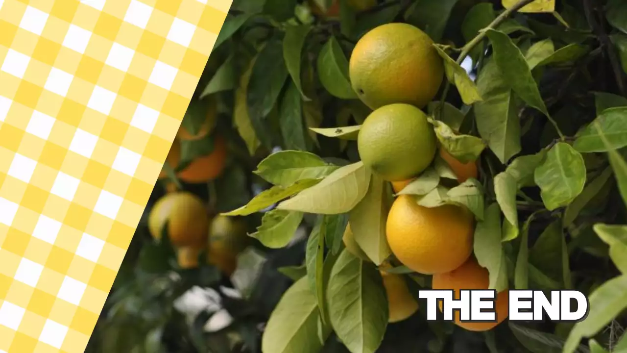 Green Simple Food Guide Presentation