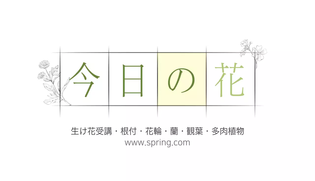 白 シンプル 花 名刺