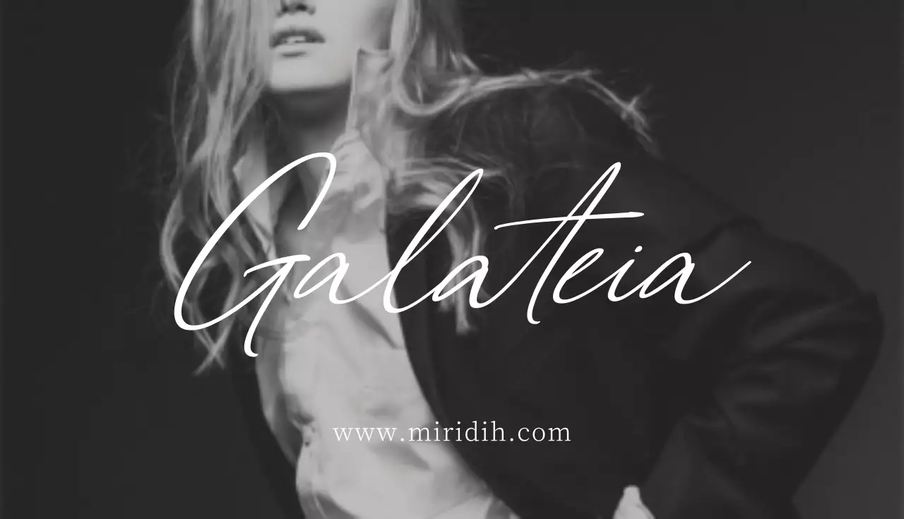 白 シンプル デザイン 名刺