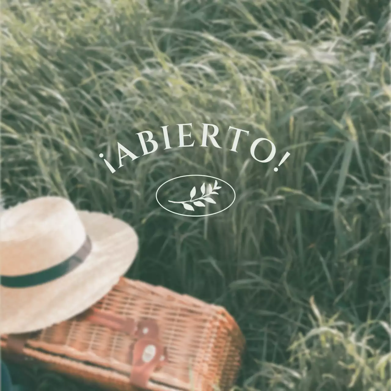 Paquete de diseño fotográfico Green's Picnic Concept