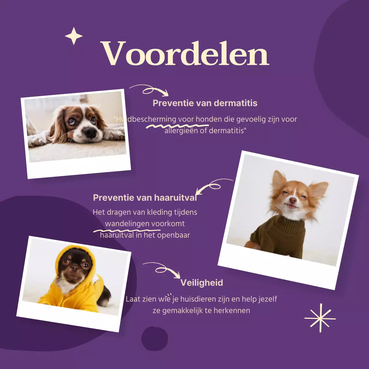 Levendig gekleurde hondenkleding