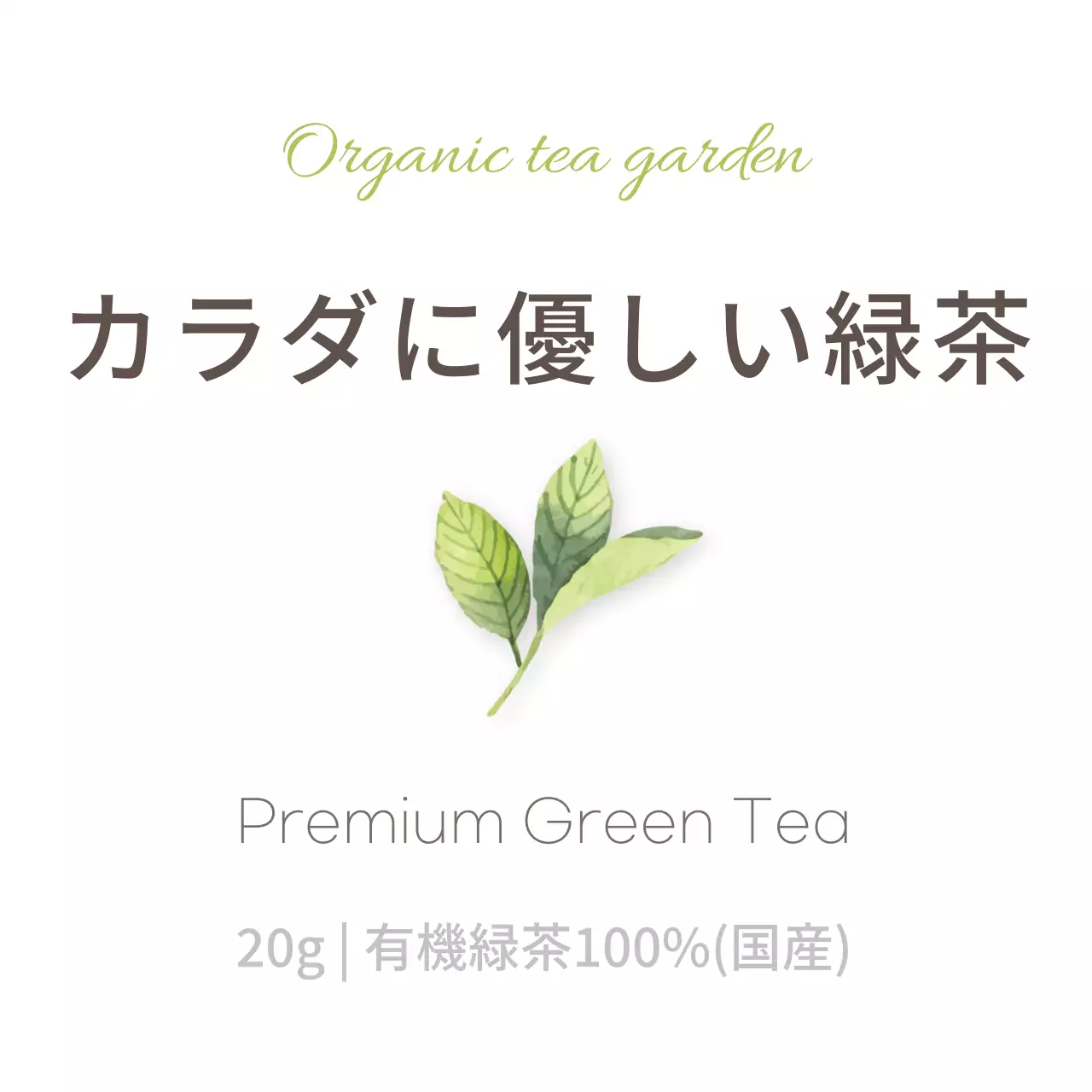 薄緑色のシンプルな緑茶ステッカー