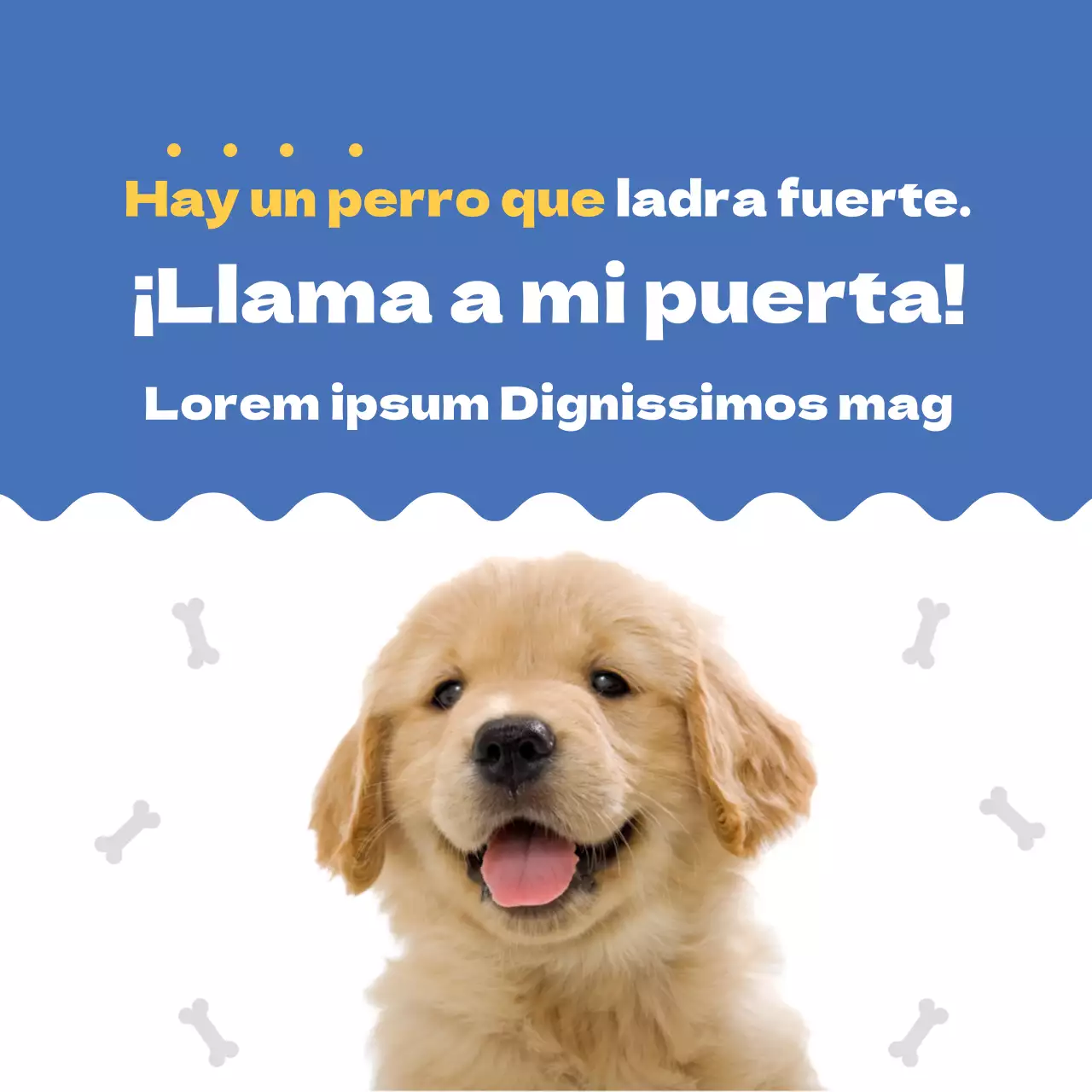 Azul lindo cachorro de perro Inicio