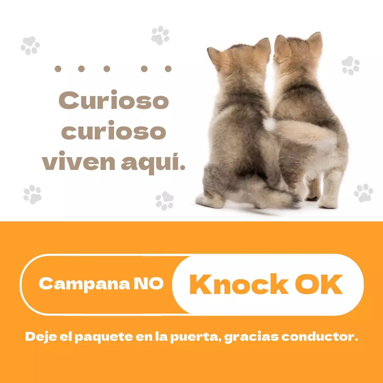 Orange Cute Puppy Dog Home