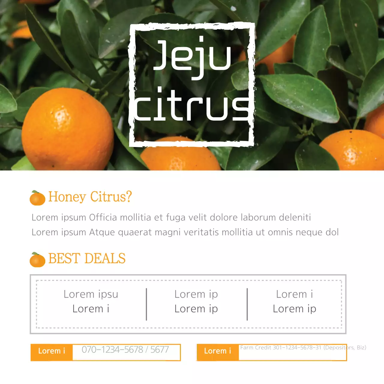 Orange Modern Citrus Promotion Banner