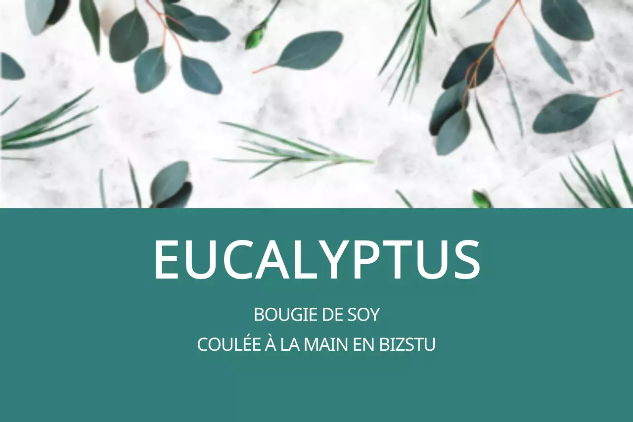 Eucalyptus