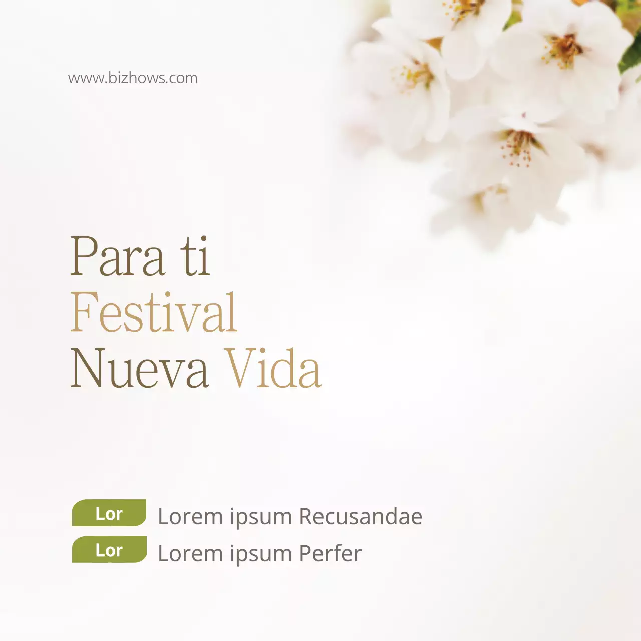 Festival Nueva Vida