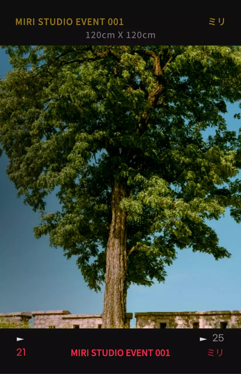 コントラストの強いカラー感の感性的でヒップなフォトフィルムフレームコンセプトのパーソナルグッズ用