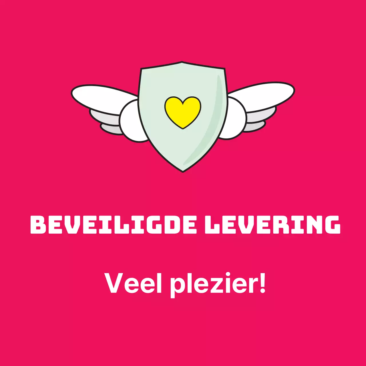 45208/Veiligde levering