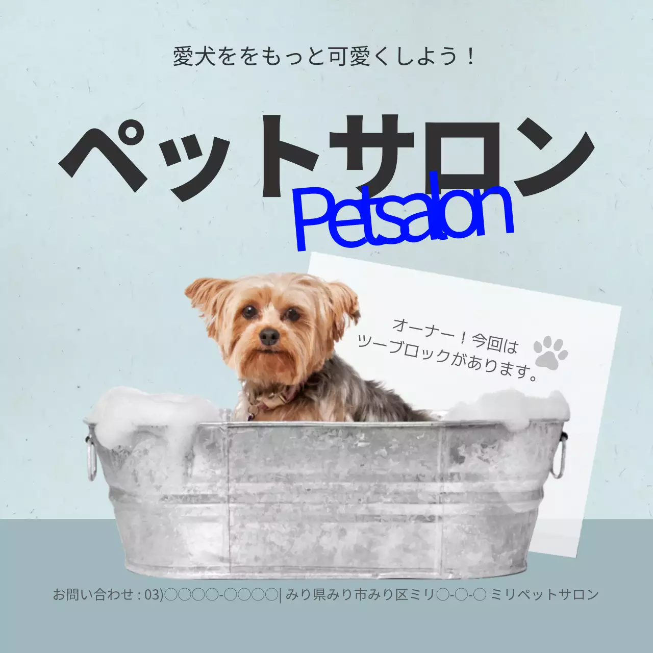 青 シンプル ペット 看板 Instagram投稿