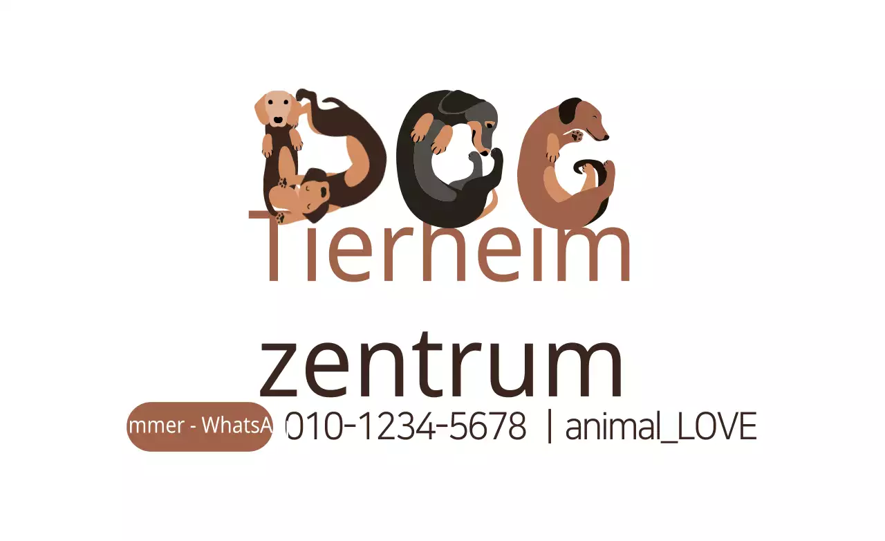 Zentrum für streunende Tiere