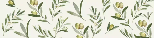 Phong cách cổ điển mô hình minh họa ô liu xanh