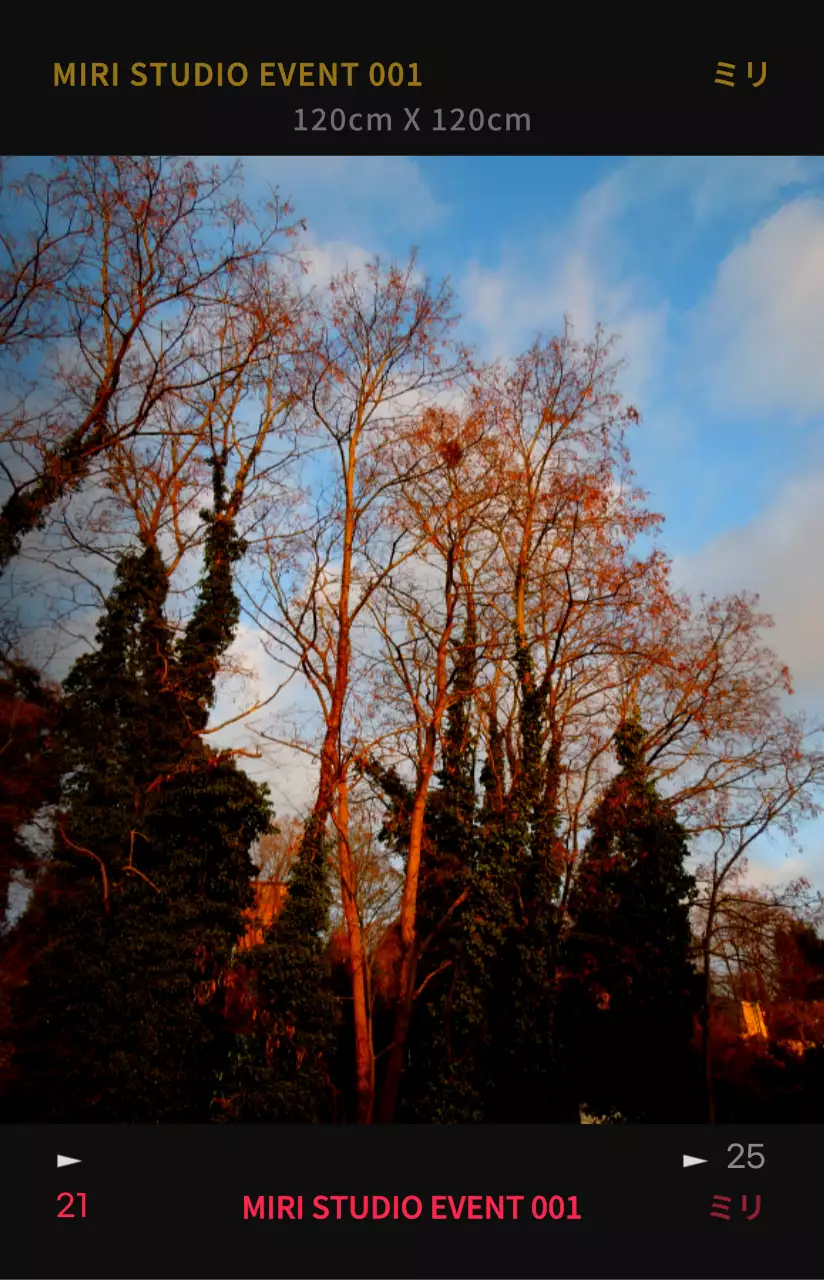 コントラストの強いカラー感の感性的でヒップなフォトフィルムフレームコンセプトのパーソナルグッズ用