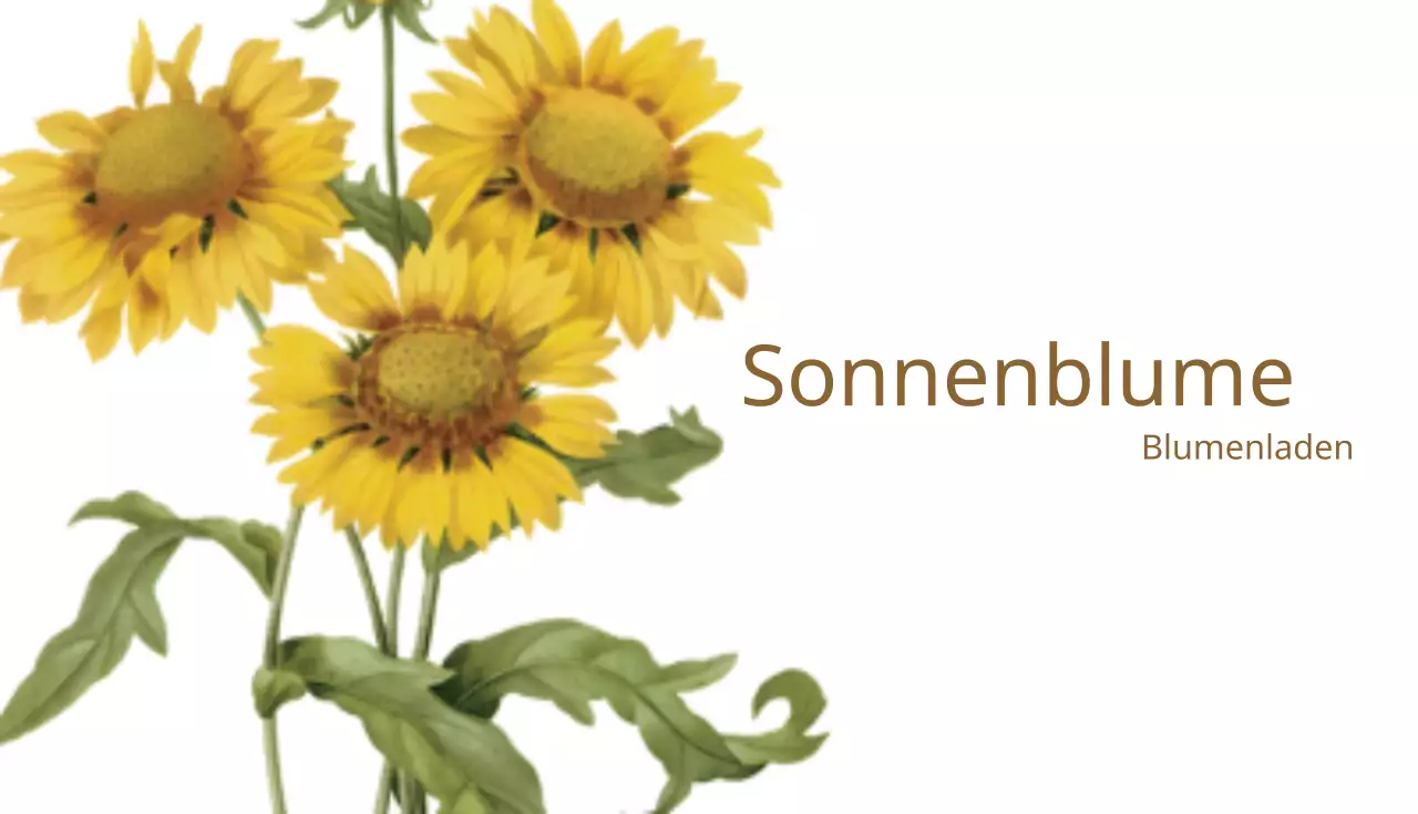 Sonnenblume