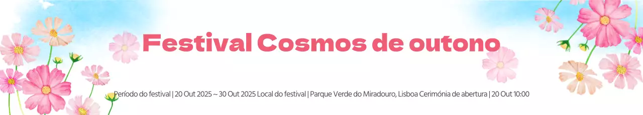 Festival Cosmos