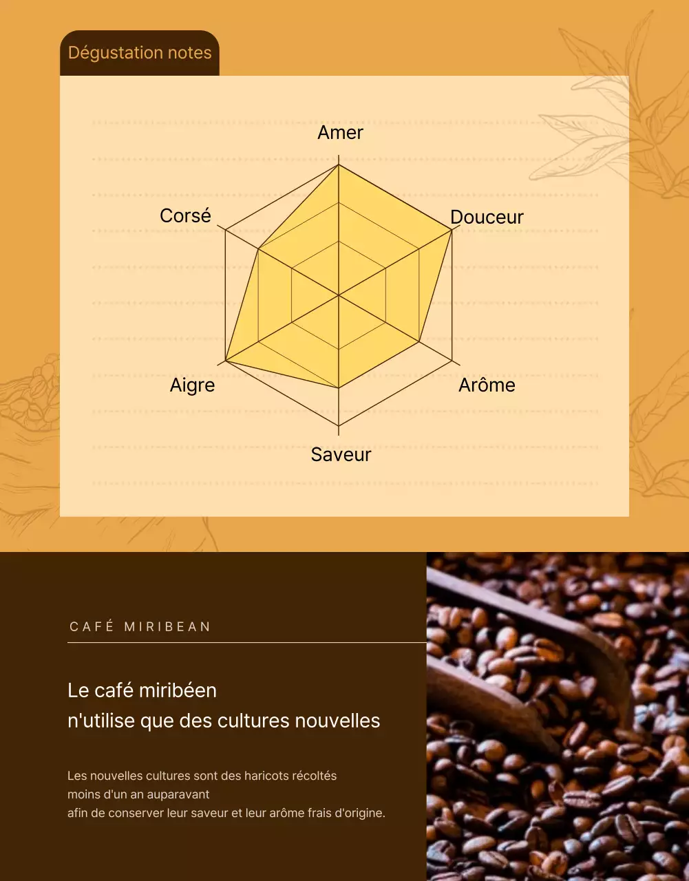 Page de détail des haricots noirs