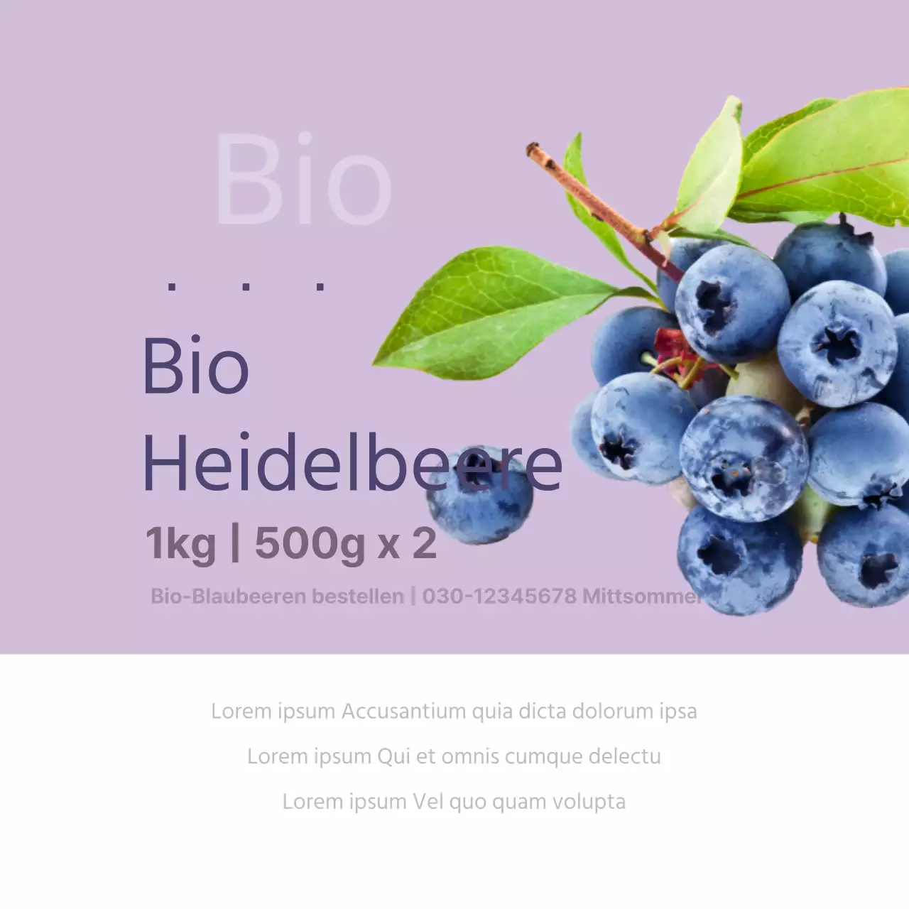 Bio-Heidelbeeren