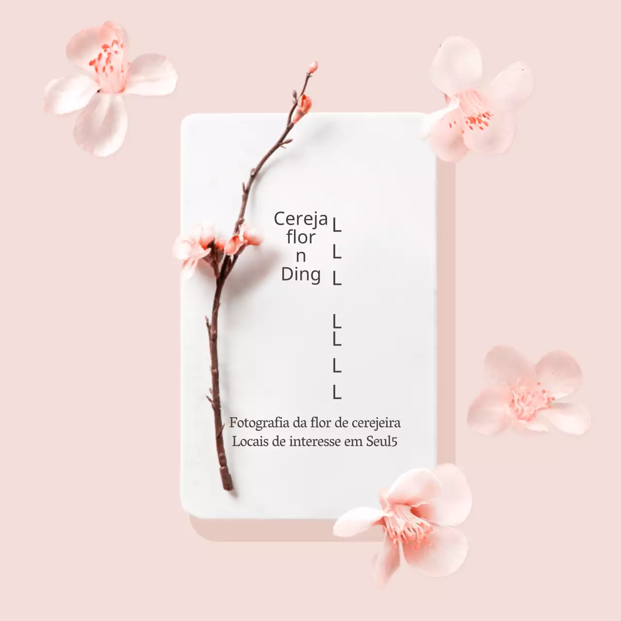 Flores de cerejeira