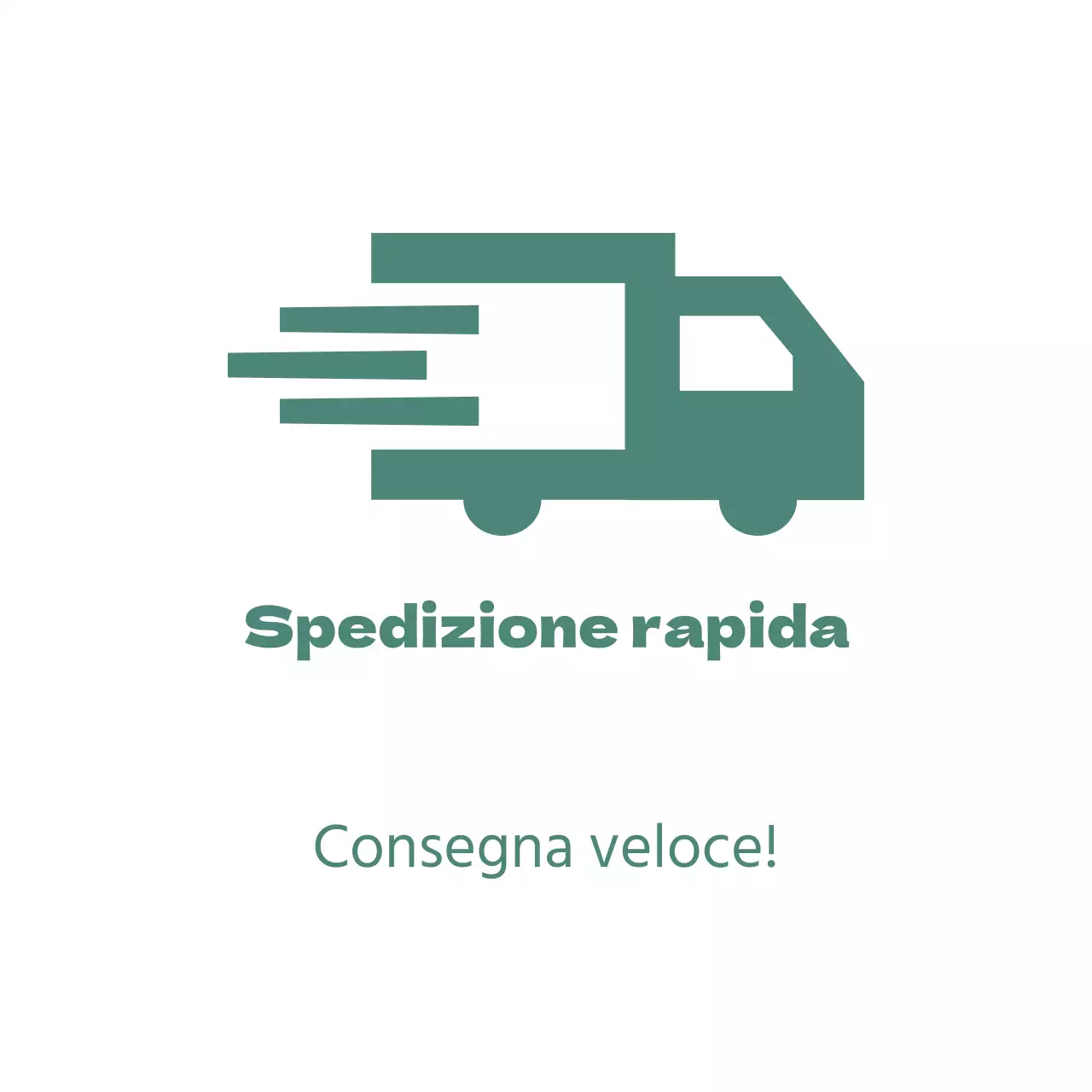 Spedizione rapida