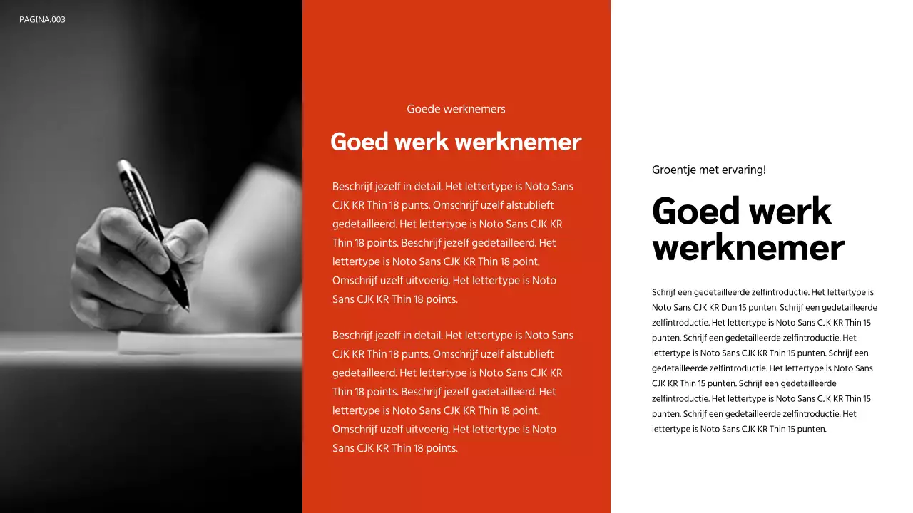 Portfolio presentatie in oranje en zwart