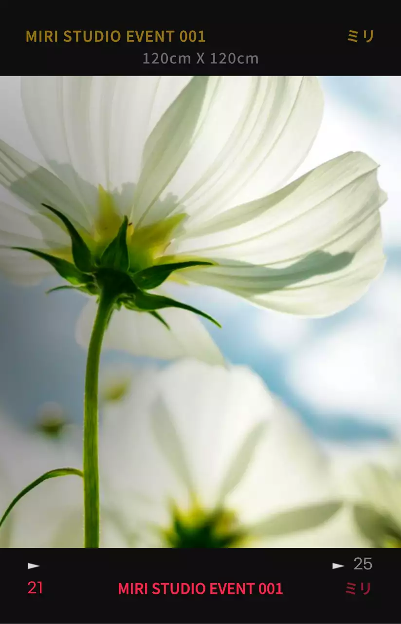 コントラストの強いカラー感の感性的でヒップなフォトフィルムフレームコンセプトのパーソナルグッズ用