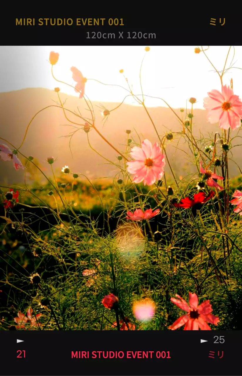 コントラストの強いカラー感の感性的でヒップなフォトフィルムフレームコンセプトのパーソナルグッズ用