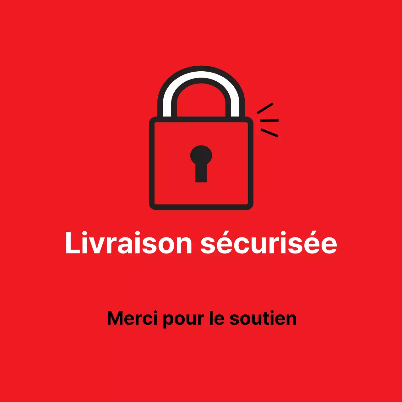 45194_Livraison sécurisée
