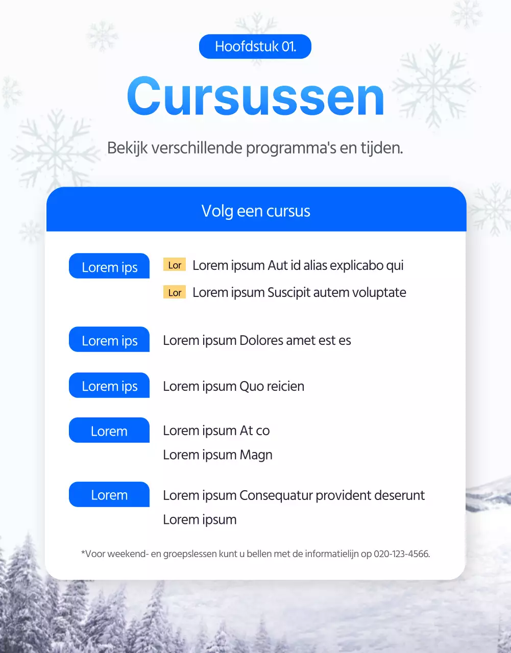 Winterse ski- en snowboardlessen in blauw (detailpagina)