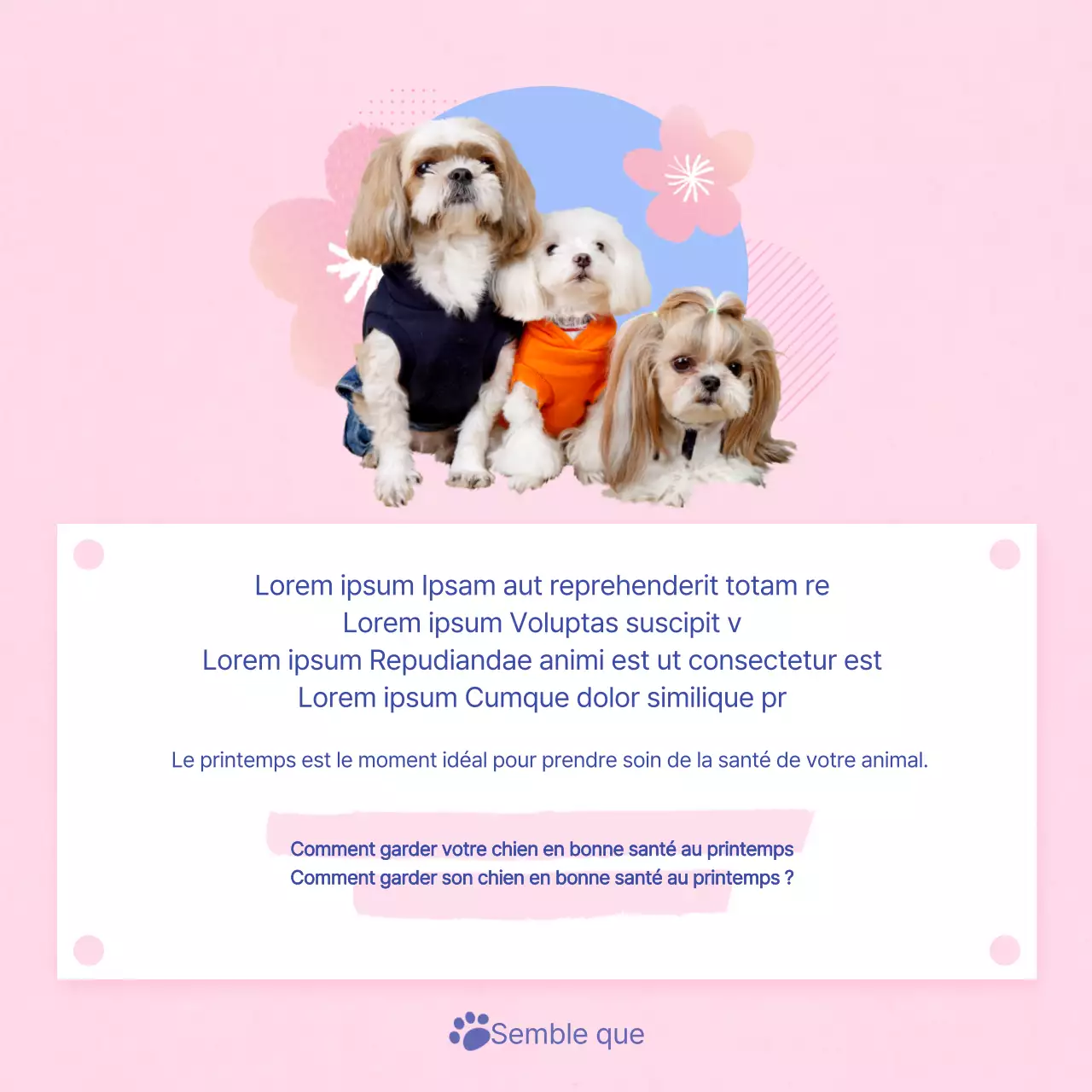 Un guide pour prendre soin de votre chiot rose et bleu clair