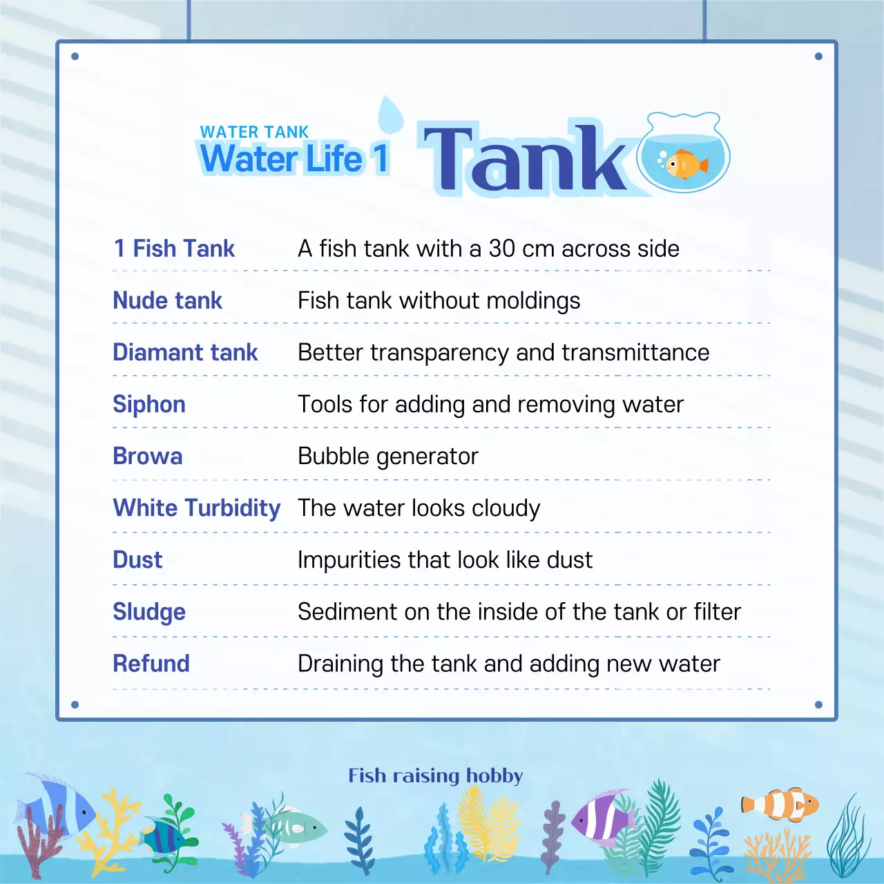 Blue Modern Fish Guide Instagram Carousel