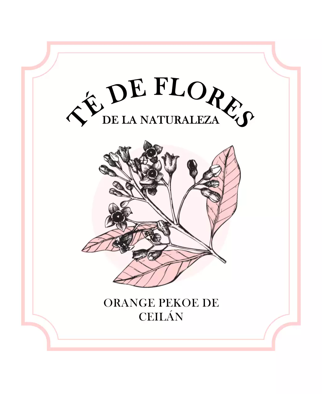 Lujosas bolsitas de té con ilustraciones de plantas y bayas en rosa pastel y azul claro