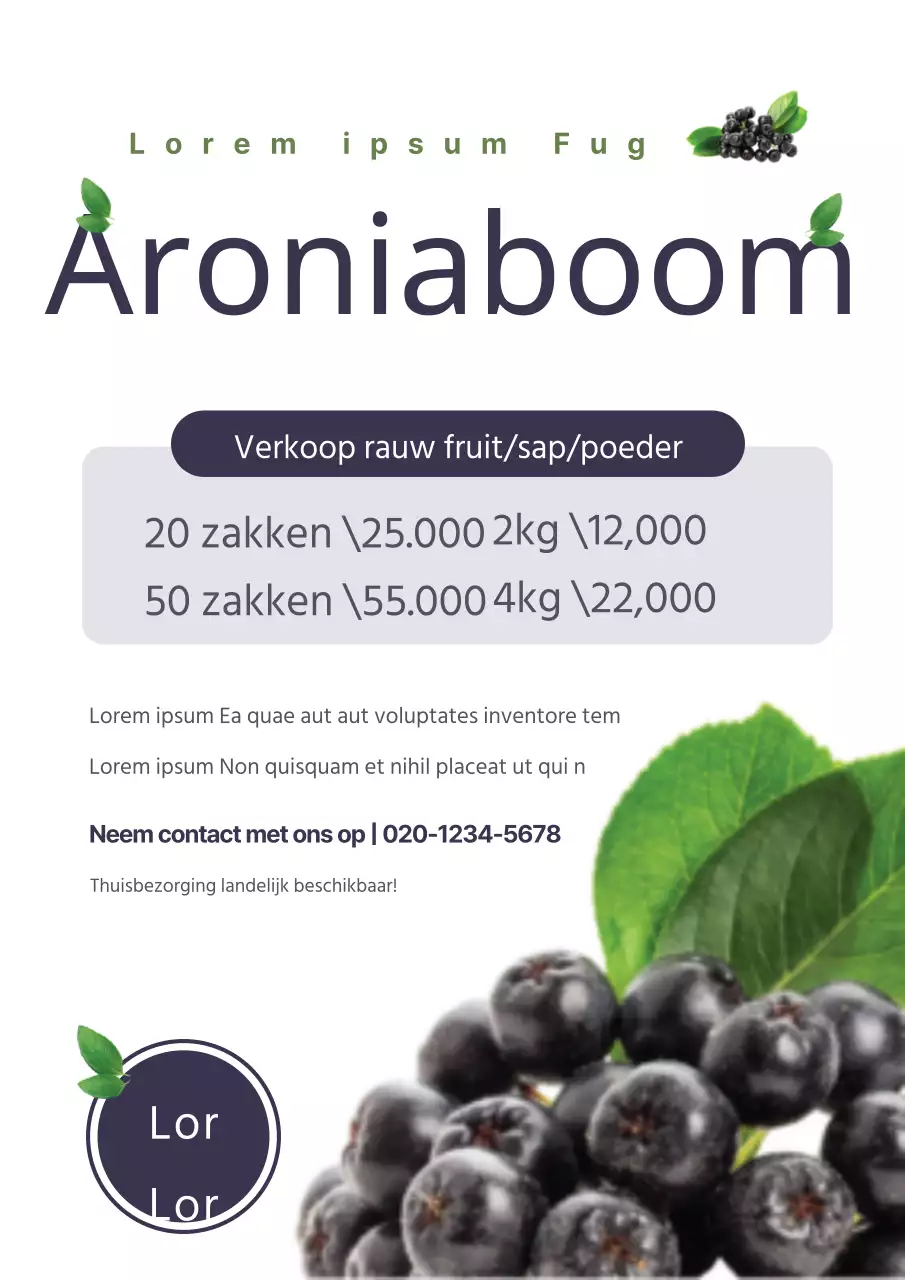 Een nette bosbessenzending met een foto van paarse bosbessen en bladeren om de verkoop van bosbessen te promoten.