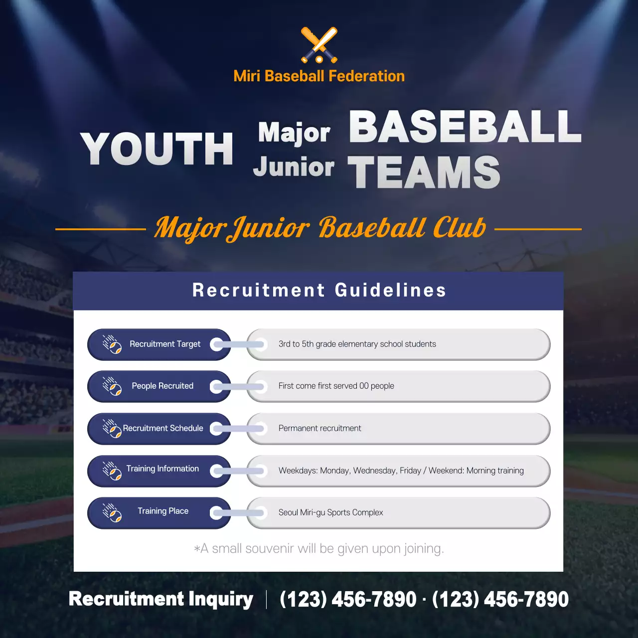 Navy Professional Baseball Recruitment Social Media Post