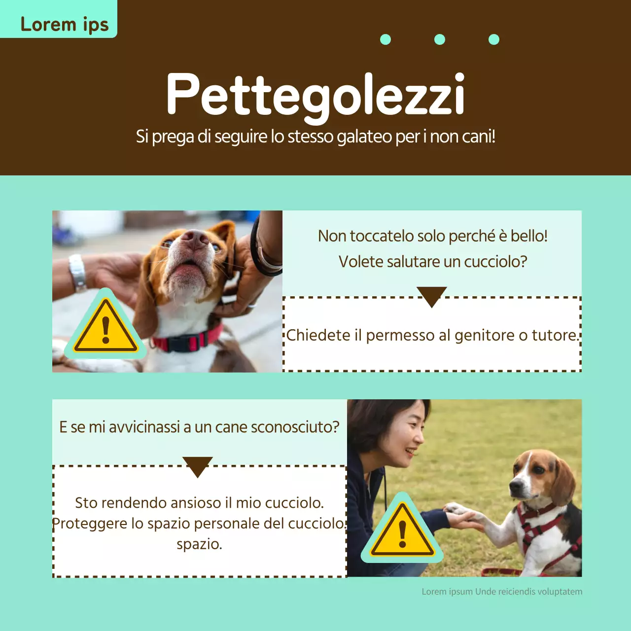 Biglietto informativo per animali domestici in giallo e bronzo