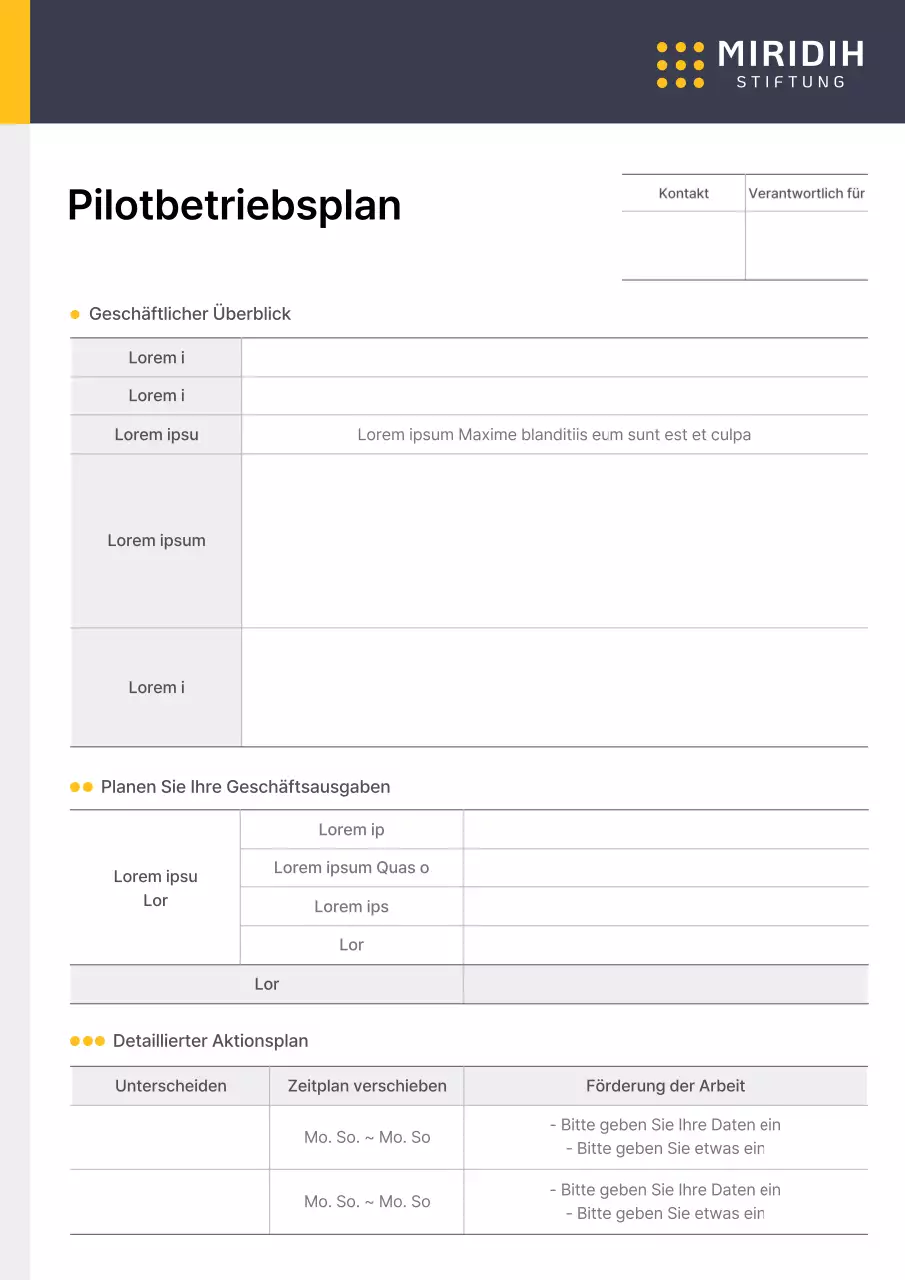 Formblatt für einen operativen Plan für ein Unternehmenspilotprojekt in gelb-blauen Punktfarben