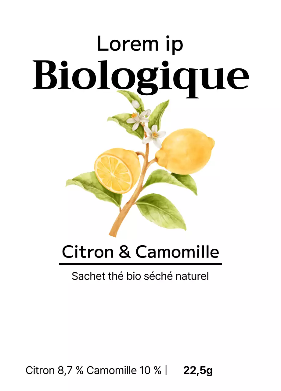 Sachets de thé aux fruits biologiques avec illustrations de fruits à l'aquarelle