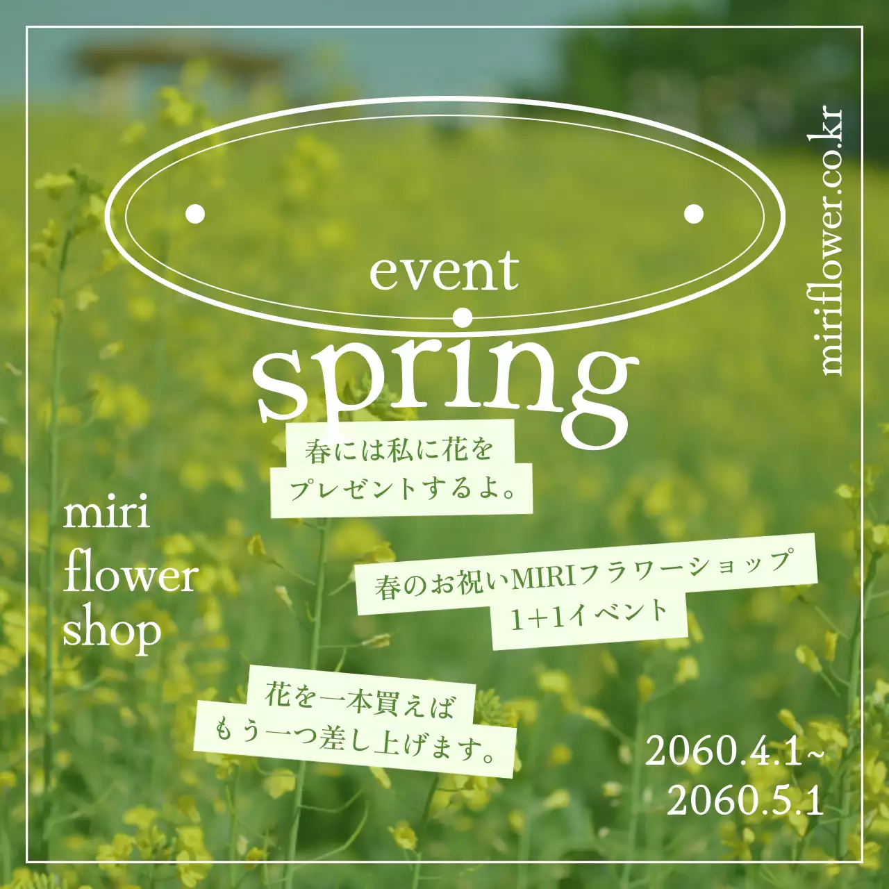 黄色い花畑を背景にした春맞이イベント