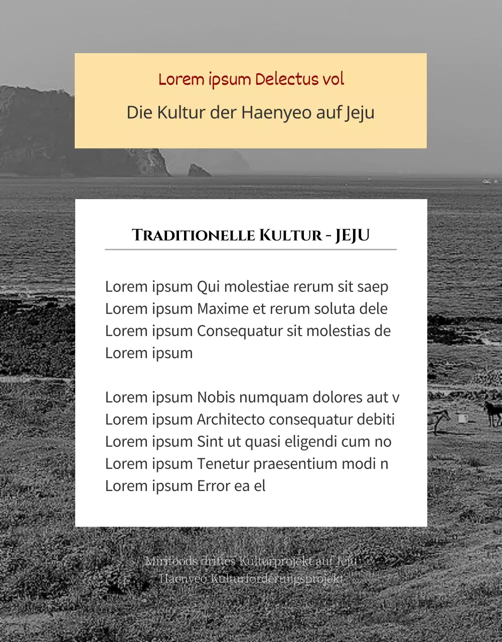 Ein edler, sauberer, schwarz-weißer Jeju Jjigal Fundo (Detailseite)