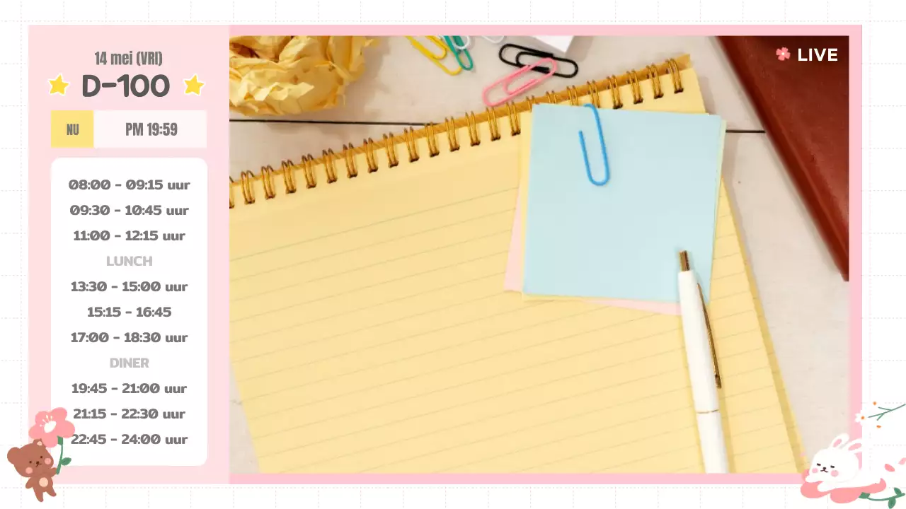 Roze Schattige Youtube Thumbnail StudieWeetMe Thema